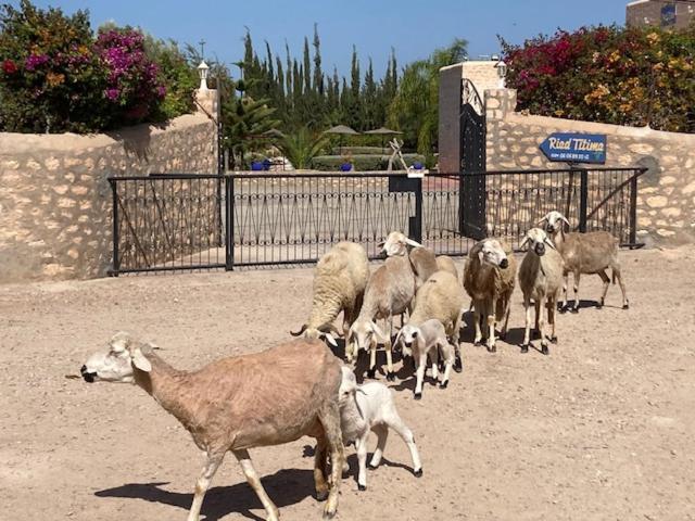 Riad Titima Suvayr Dış mekan fotoğraf